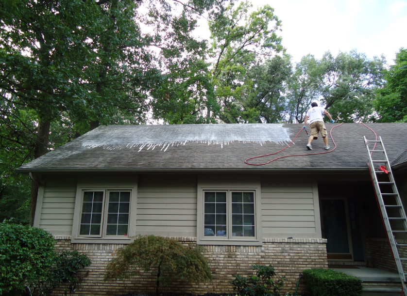 Roof cleaning Grand rapids
